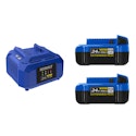 Kobalt 24-Volt 2-Pack 4.0 Ah Lithium-ion Battery & Charger for $99 + free shipping