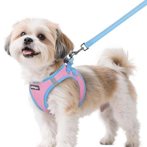 Rabbitgoo Small Dog Harness and Leash Set: $16.99 Rabbitgoo Small Dog Harness and Leash Set: $16.99