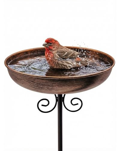Ouisjyer 10-inch Metal Bird Bath with Stake: $9.49 Ouisjyer 10-inch Metal Bird Bath with Stake: $9.49