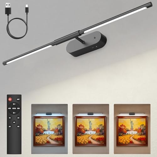 Glendan 24-inch Wireless LED Picture Light: $39.97