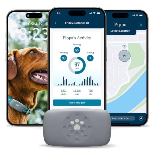 Petivity Dog GPS Tracker: $33.23