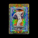 Sports Memorabilia, Cards, Fan Gear Labor Day Deals at eBay: Up to 60% off + extra 20% off + free shipping
