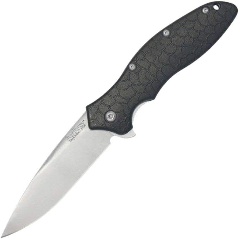 Kershaw Oso Sweet 3" EDC Pocket Knife: $20