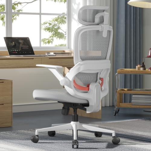 Sihoo B100 SE Ergonomic Office Chair: $169.99