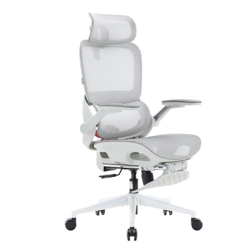 Sihoo B100 Pro Ergonomic Mesh Office Chair with Footrest: $219.98