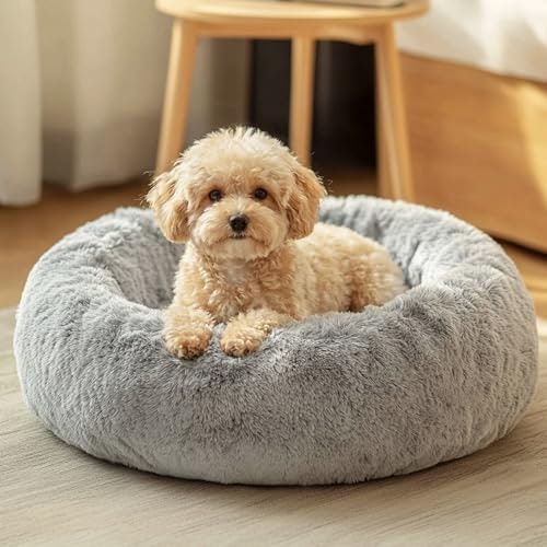 Jollyvogue 20-Inch Donut Pet Bed: $11.98