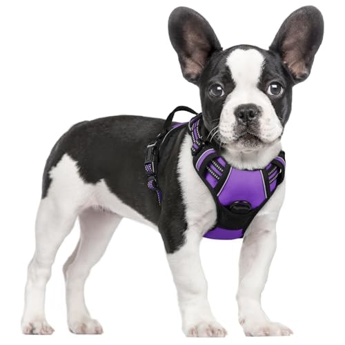 Rabbitgoo No-Pull Dog Harness: $20.38