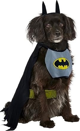 End of Summer Pet Move Out Sale at Woot: Up to 67% off End of Summer Pet Move Out Sale at Woot: Up to 67% off