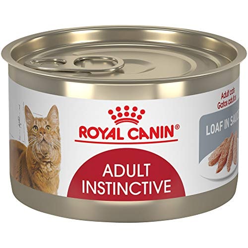 Royal Canin Feline Health Nutrition Adult Instinctive Loaf in Sauce Cat Food 24-Pack: $59.33 Royal Canin Feline Health Nutrition Adult Instinctive Loaf in Sauce Cat Food 24-Pack: $59.33