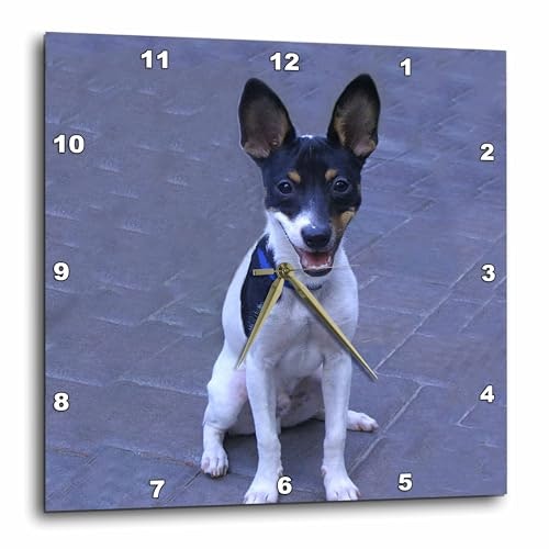 3dRose 10-Inch Toy Fox Terrier Wall Clock: $34.68 3dRose 10-Inch Toy Fox Terrier Wall Clock: $34.68