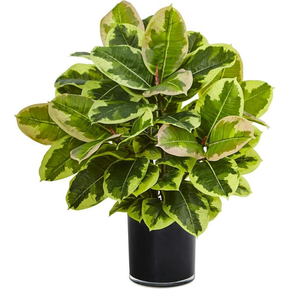 24-Inch Artificial Rubber Tree Plant: $80 24-Inch Artificial Rubber Tree Plant: $80