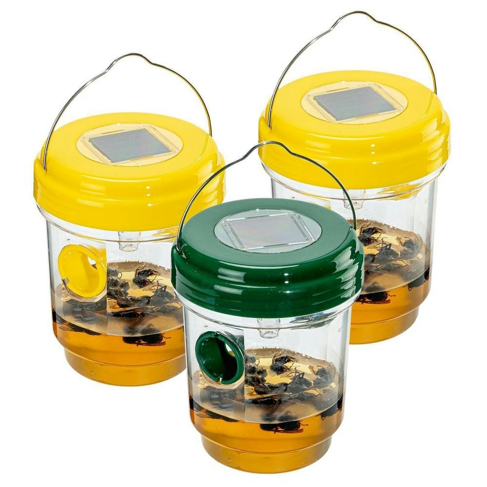 Outdoor Wasp Trap 3-Pack: $59.03 Outdoor Wasp Trap 3-Pack: $59.03