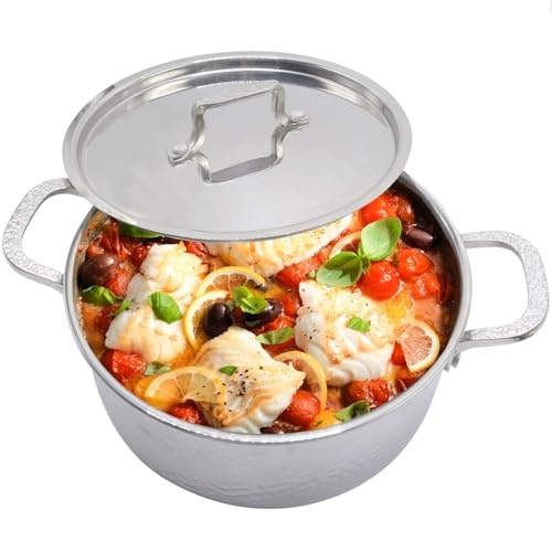 Vivicreate Tri-Ply Stainless Steel 5-Quart Stock Pot: $16.99 Vivicreate Tri-Ply Stainless Steel 5-Quart Stock Pot: $16.99