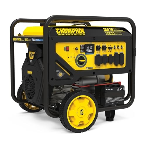 Champion 16,875-Watt Electric Start Portable Generator: $2,699 Champion 16,875-Watt Electric Start Portable Generator: $2,699