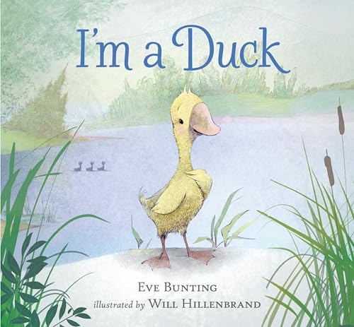 Duck Toy: $14