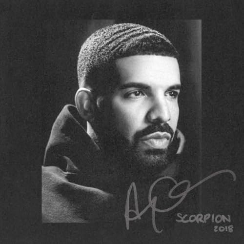 Scorpion 2-LP Vinyl Record: $26.59