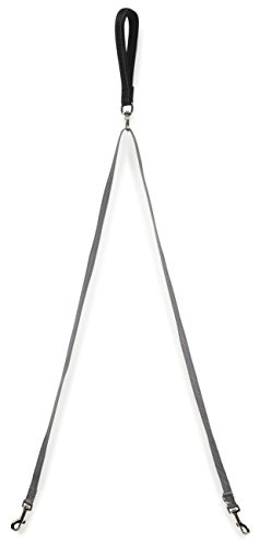 PetSafe Two-Point Control Dog Leash: $7.50 PetSafe Two-Point Control Dog Leash: $7.50