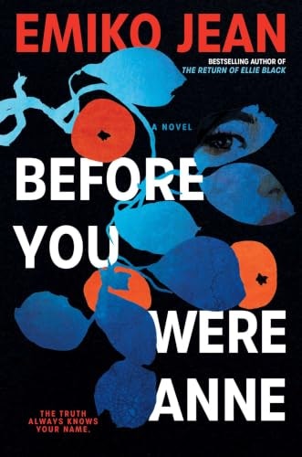 Before You Were Anne: A Novel: $25.06