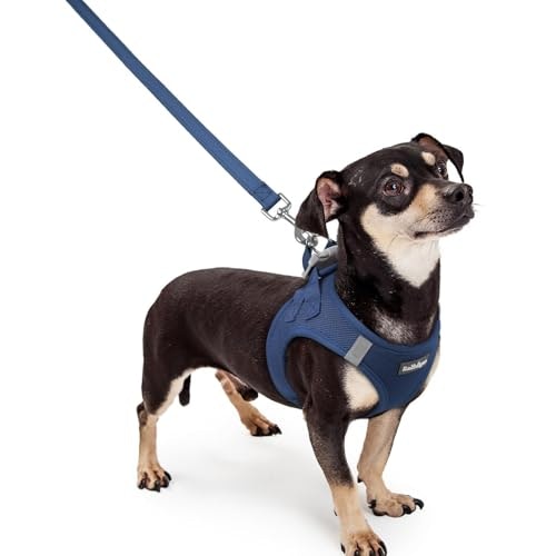 Rabbitgoo Small Dog Harness and Leash Set: $18.69