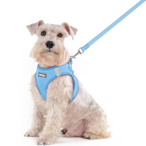 Rabbitgoo Medium Dog Harness and Leash Set: $19.54