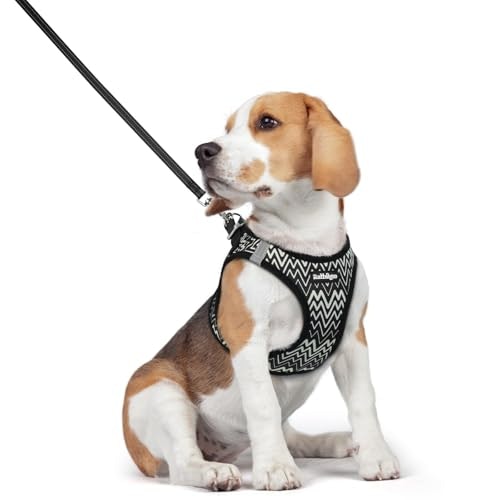 Rabbitgoo Medium Dog Harness and Leash Set: $20.39 Rabbitgoo Medium Dog Harness and Leash Set: $20.39