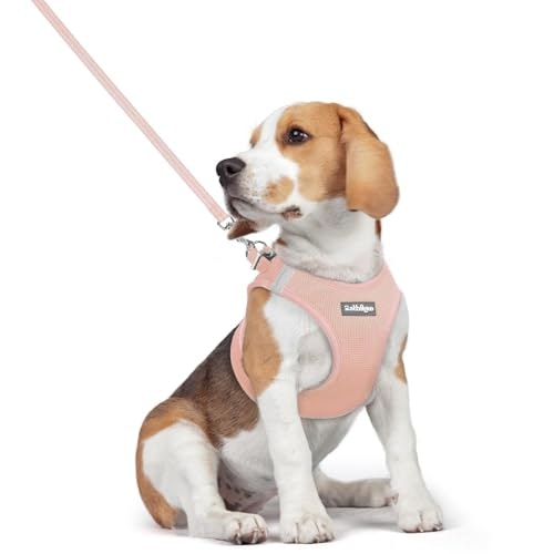 Rabbitgoo Medium Dog Harness and Leash Set: $19.54 Rabbitgoo Medium Dog Harness and Leash Set: $19.54