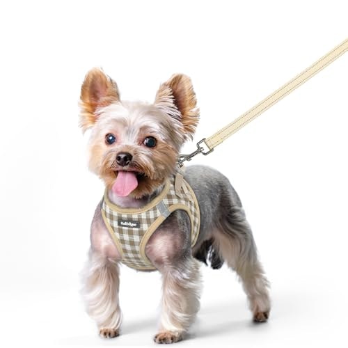 Rabbitgoo Small Dog Harness and Leash Set: $19.54