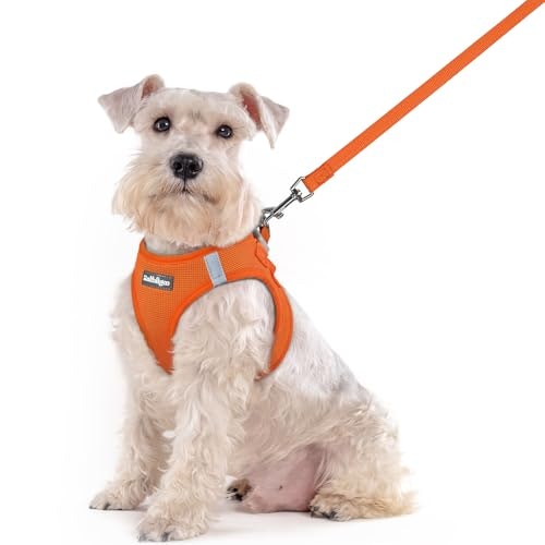 Rabbitgoo Medium Dog Harness and Leash Set: $19.54