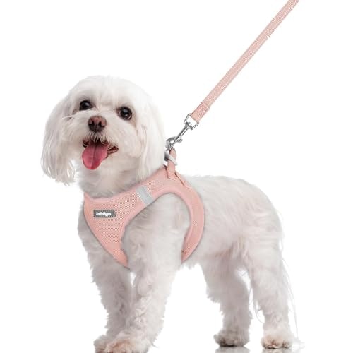Rabbitgoo Medium Dog Harness and Leash Set: $18.69