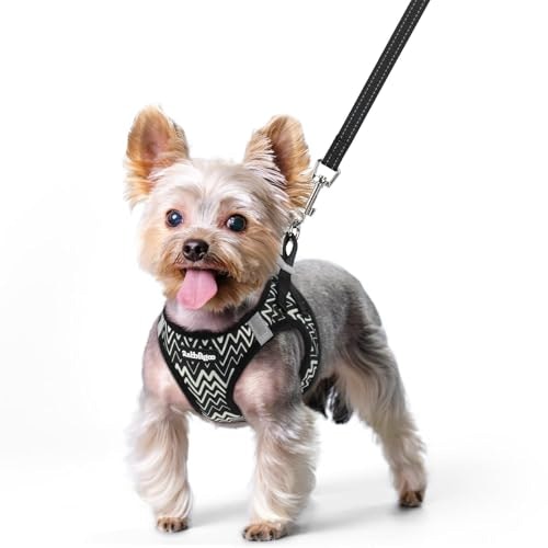 Rabbitgoo Small Dog Harness and Leash Set: $19.54 Rabbitgoo Small Dog Harness and Leash Set: $19.54