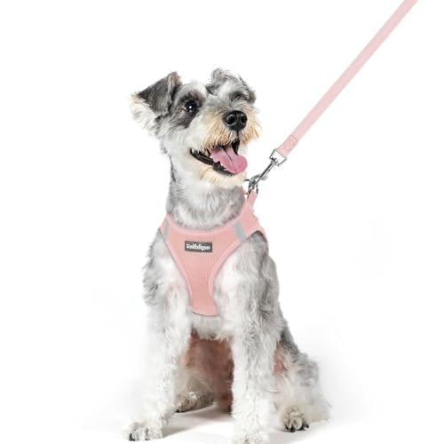 Rabbitgoo Medium Dog Harness and Leash Set: $19.53 Rabbitgoo Medium Dog Harness and Leash Set: $19.53