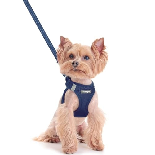 Rabbitgoo Small Dog Harness and Leash Set: $18.69 Rabbitgoo Small Dog Harness and Leash Set: $18.69