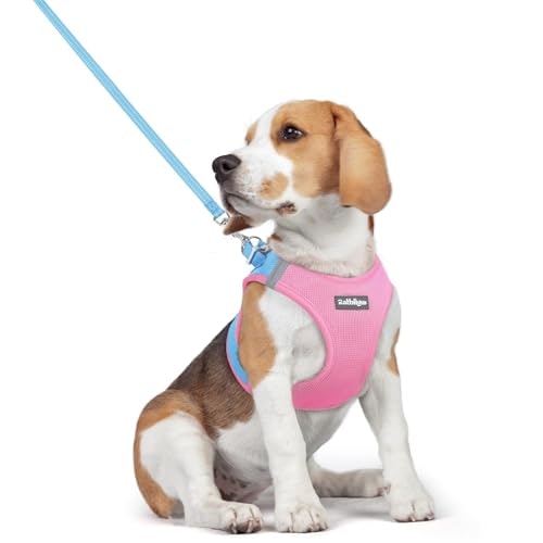 Rabbitgoo Medium Dog Harness and Leash Set: $20.39