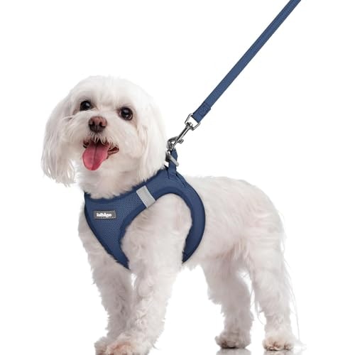 Rabbitgoo Medium Dog Harness and Leash Set: $17.84 Rabbitgoo Medium Dog Harness and Leash Set: $17.84