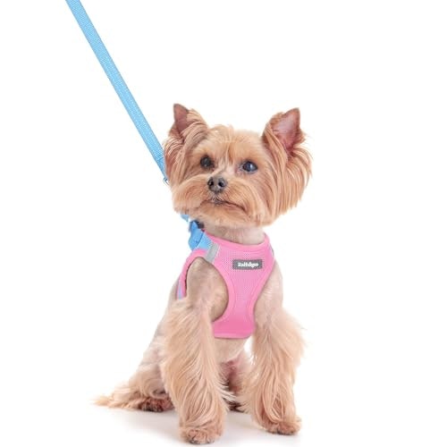 Rabbitgoo Small Dog Harness and Leash Set: $20.39 Rabbitgoo Small Dog Harness and Leash Set: $20.39
