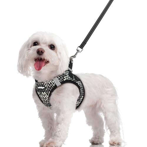 Rabbitgoo Medium Dog Harness and Leash Set: $19.54 Rabbitgoo Medium Dog Harness and Leash Set: $19.54