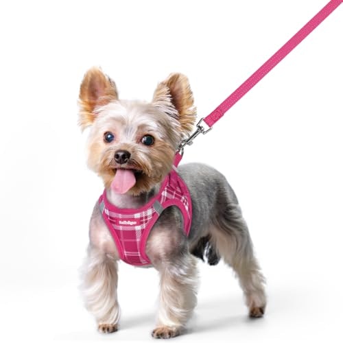 Rabbitgoo Small Dog Harness and Leash Set: $19.54 Rabbitgoo Small Dog Harness and Leash Set: $19.54
