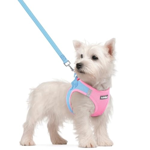 Rabbitgoo Small Dog Harness and Leash Set: $19.54 Rabbitgoo Small Dog Harness and Leash Set: $19.54
