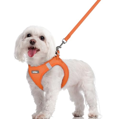 Rabbitgoo Medium Dog Harness and Leash Set: $17.84
