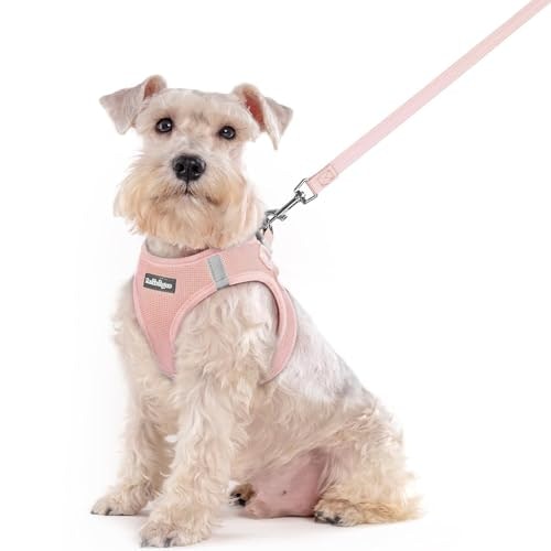 Rabbitgoo Medium Dog Harness and Leash Set: $20.39