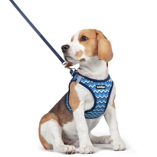 Rabbitgoo Medium Dog Harness and Leash Set: $20.39