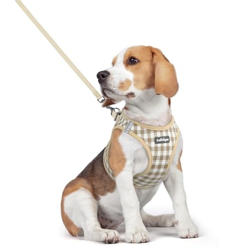 Rabbitgoo Medium Dog Harness and Leash Set: $20.39 Rabbitgoo Medium Dog Harness and Leash Set: $20.39