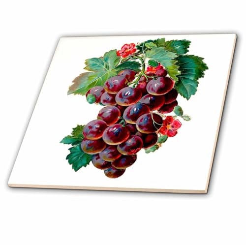 3dRose 6-Inch Ceramic Tile: $13.61 3dRose 6-Inch Ceramic Tile: $13.61
