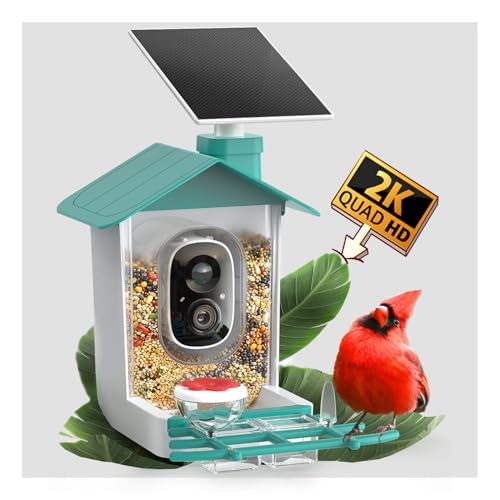 Cooau 2K Smart Solar Camera Bird Feeder: $49.97