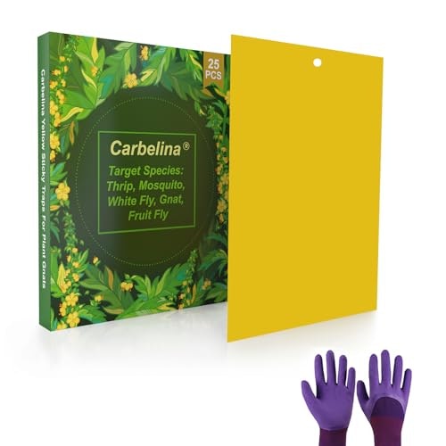 Carbelina Gnat Sticky Traps for Plants 25-Pack: $11.04 Carbelina Gnat Sticky Traps for Plants 25-Pack: $11.04