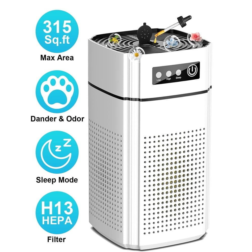 Airfire AP202 HEPA Air Purifier: $26.95 Airfire AP202 HEPA Air Purifier: $26.95