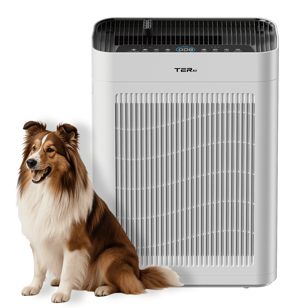 H13 HEPA Air Purifier for Large Rooms: $89.99 H13 HEPA Air Purifier for Large Rooms: $89.99