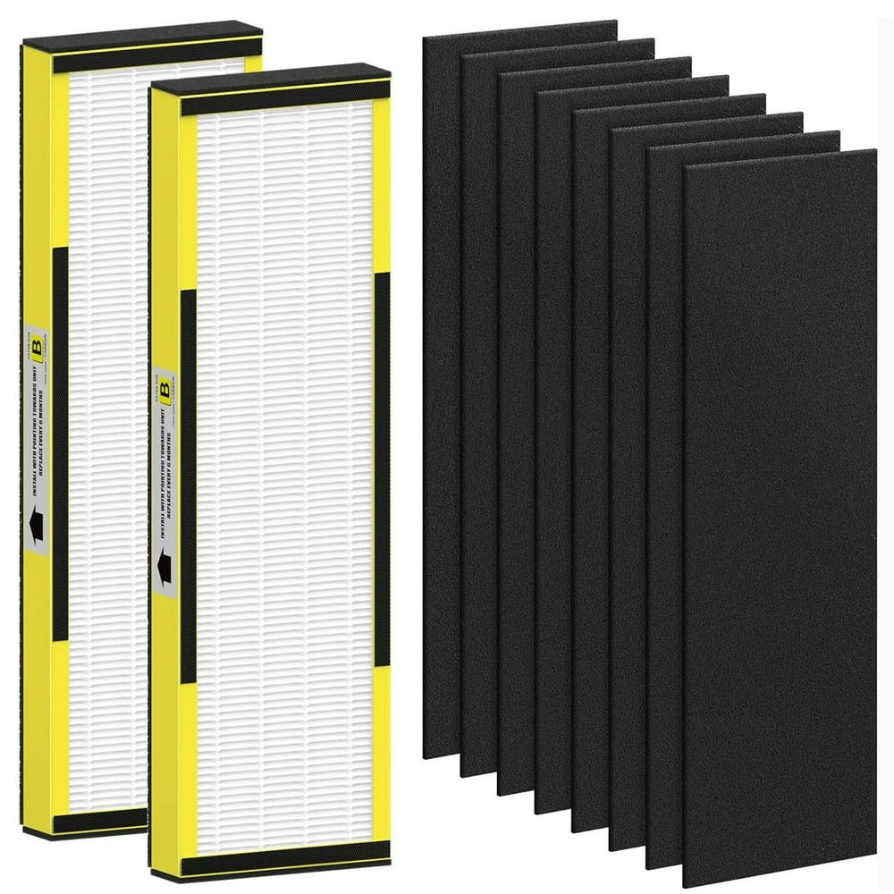 Guardian FLT4825 HEPA Filter Replacement 2-Pack: $17.99