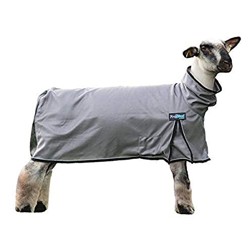 ProCool Sheep Blanket: $32.79 ProCool Sheep Blanket: $32.79