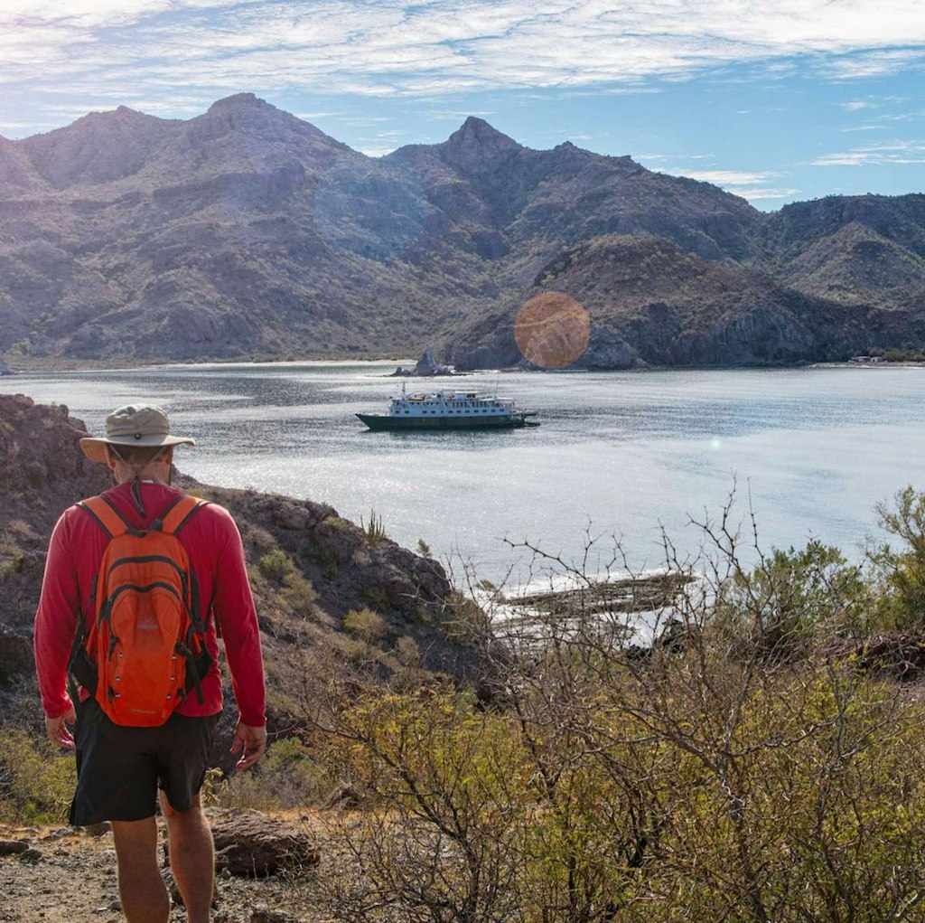 UnCruise 8-Night Baja California Whales & Sealife Adventure: From $14,800 for 2